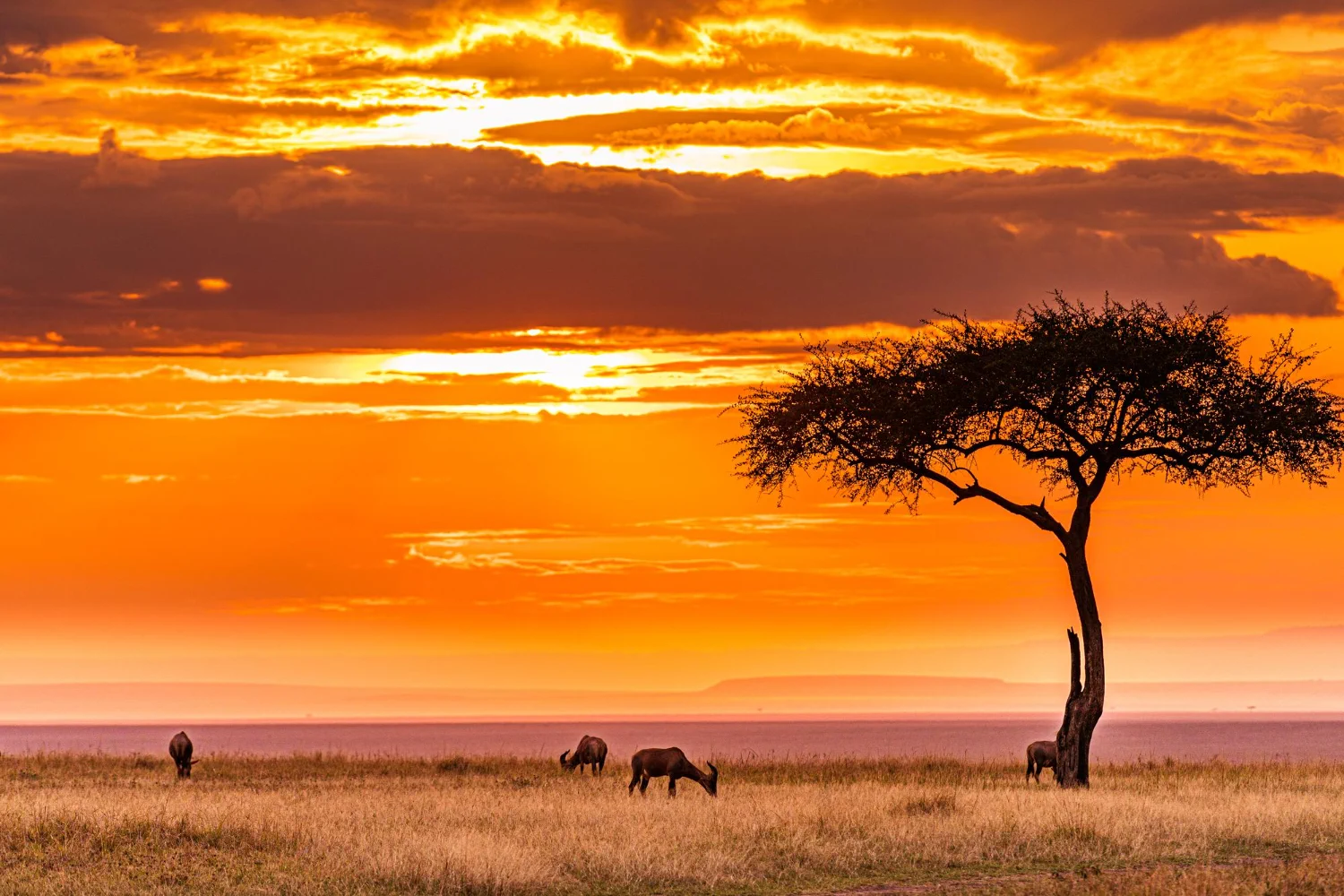 Memorias de africa 02
